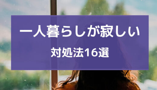 一人暮らし 寂しい 泣く 社会人