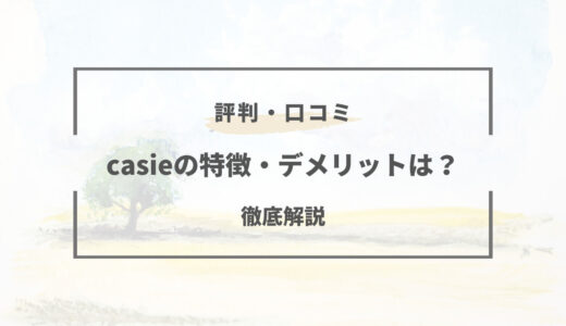 【Casie】デメリットが多い？特徴・評判と口コミまとめ