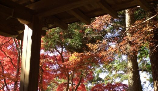 有馬温泉　ベストシーズン