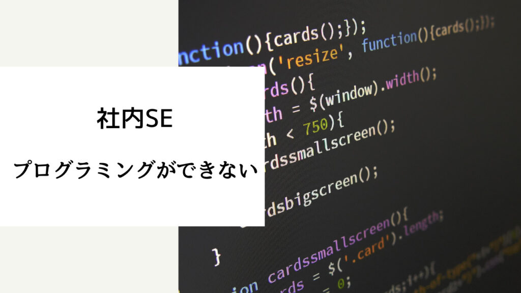 社内SE プログラミング できない