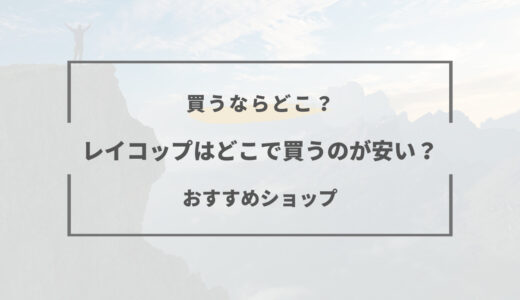 【2025年版】レイコップはどこで買うのがお得？おすすめショップまとめ