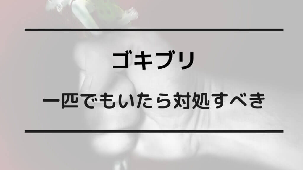 ゴキブリがいるか確かめる方法