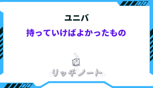 ユニバに持っていけばよかったもの15選！夏・冬の便利グッズ