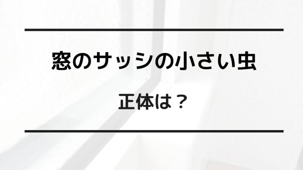 窓の サッシ 小さい虫対策