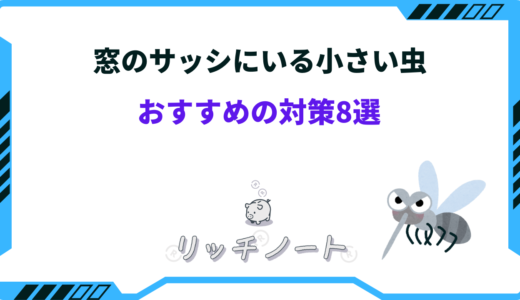 窓のサッシにいる小さい虫の対策8選！虫の正体は？黒・白い・