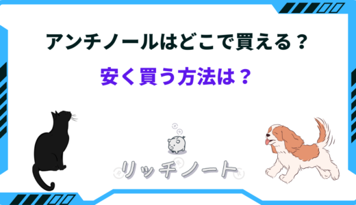 アンチノールはどこで買える？安く買う方法5選！最安値は？